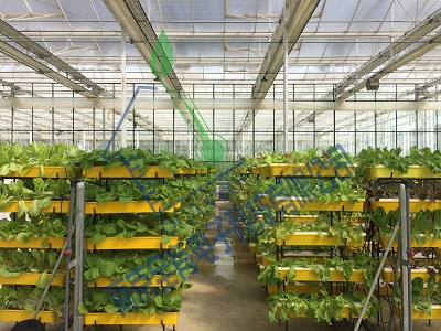 自然光型智能人工氣候室